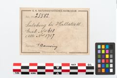 Etikett zu Bronzebuckelarmreif (NHMW-PRAE-025582)